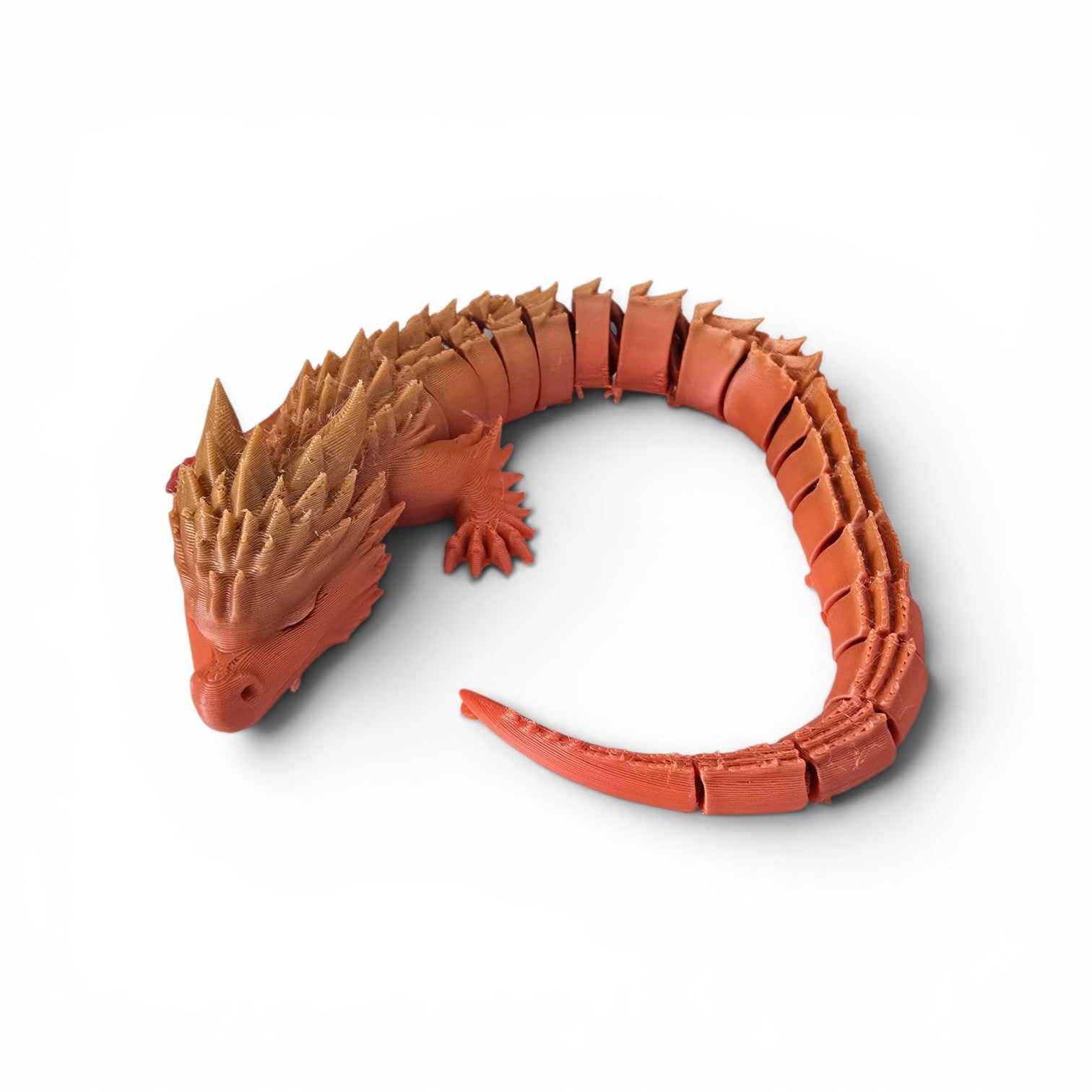 Medium Sized Dragon