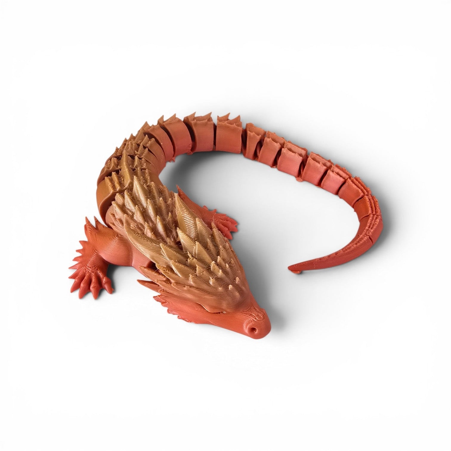 Medium Sized Dragon